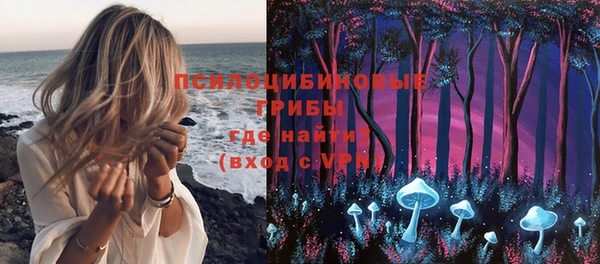 ECSTASY Абаза
