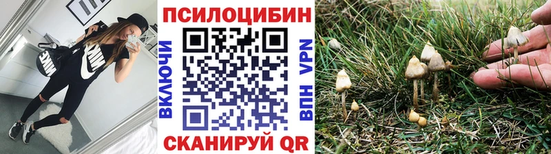 Псилоцибиновые грибы Magic Shrooms  магазин  наркотиков  Агрыз 